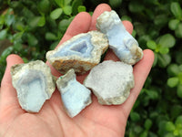 Natural Blue Lace Agate Geode Specimens x 19 From Nsanje, Malawi
