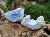 Natural Blue Lace Agate Geode Specimens x 19 From Nsanje, Malawi