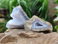 Natural Blue Lace Agate Geode Specimens x 19 From Nsanje, Malawi