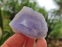 Natural Blue Lace Agate Geode Specimens x 19 From Nsanje, Malawi
