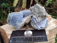 Natural Blue Lace Agate Geode Specimens x 19 From Nsanje, Malawi