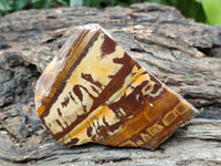 Polished On One Side Nguni Jasper Slices x 3 From Northern Cape, South Africa