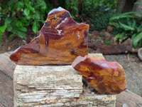 Polished On One Side Nguni Jasper Slices x 3 From Northern Cape, South Africa