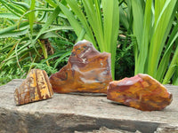 Polished On One Side Nguni Jasper Slices x 3 From Northern Cape, South Africa