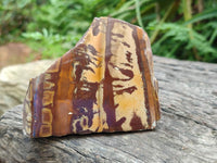 Polished On One Side Nguni Jasper Slices x 3 From Northern Cape, South Africa