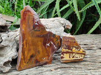 Polished On One Side Nguni Jasper Slices x 3 From Northern Cape, South Africa