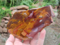 Polished On One Side Nguni Jasper Slices x 3 From Northern Cape, South Africa