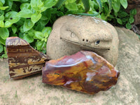 Polished On One Side Nguni Jasper Slices x 3 From Northern Cape, South Africa