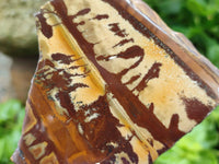 Polished On One Side Nguni Jasper Slices x 3 From Northern Cape, South Africa