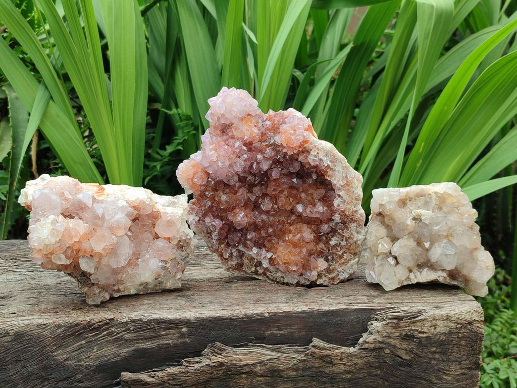 Natural Ametrine Spirit Clusters x 3 From Boekenhouthoek, South Africa