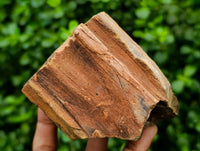 Polished On One Side Petrified Wood Branches x 3 From Gokwe, Zimbabwe