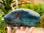 Polished Labradorite Standing Free Forms x 2 From Tulear, Madagascar