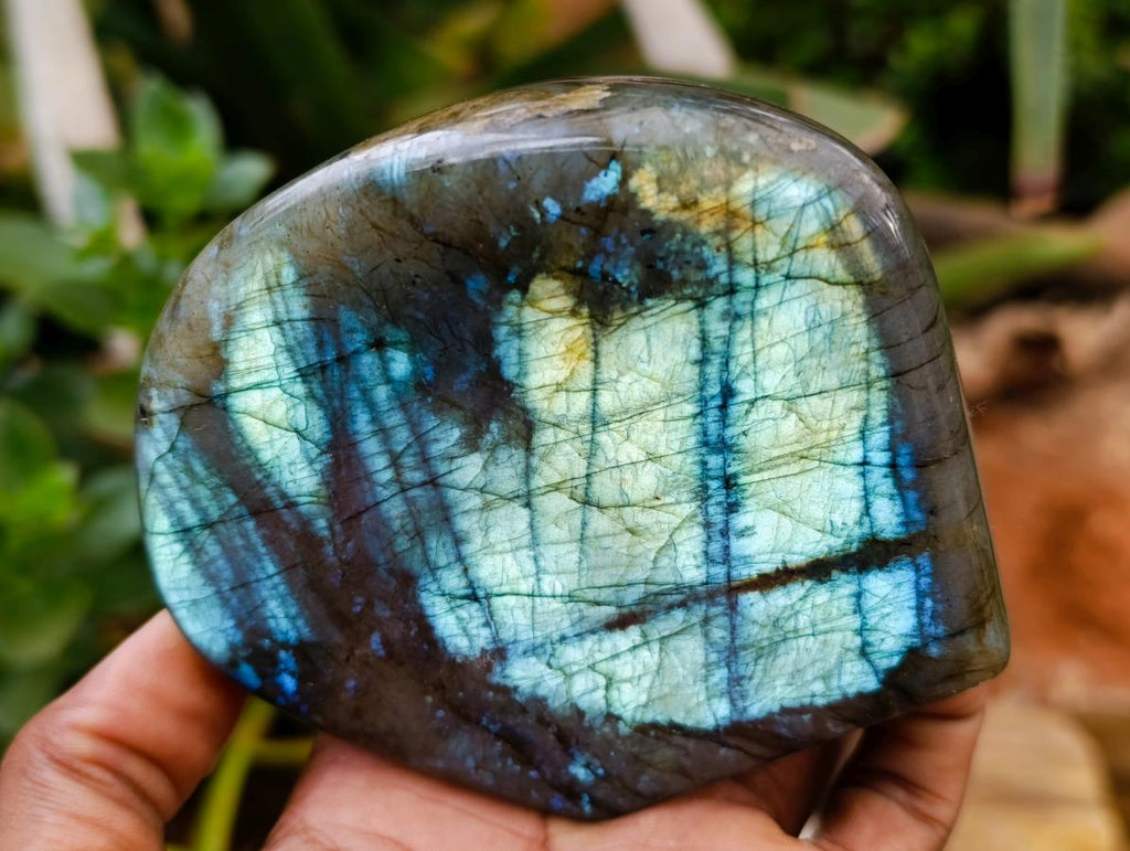 Polished Labradorite Standing Free Forms x 2 From Tulear, Madagascar