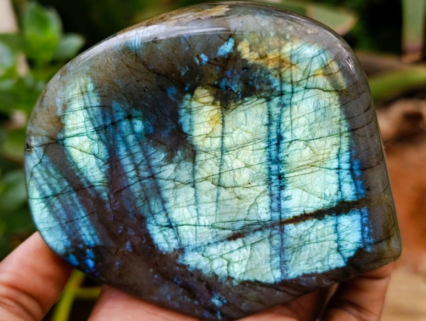 Polished Labradorite Standing Free Forms x 2 From Tulear, Madagascar