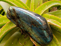 Polished Labradorite Standing Free Forms x 2 From Tulear, Madagascar