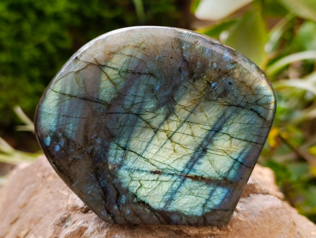 Polished Labradorite Standing Free Forms x 2 From Tulear, Madagascar