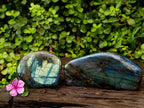 Polished Labradorite Standing Free Forms x 2 From Tulear, Madagascar