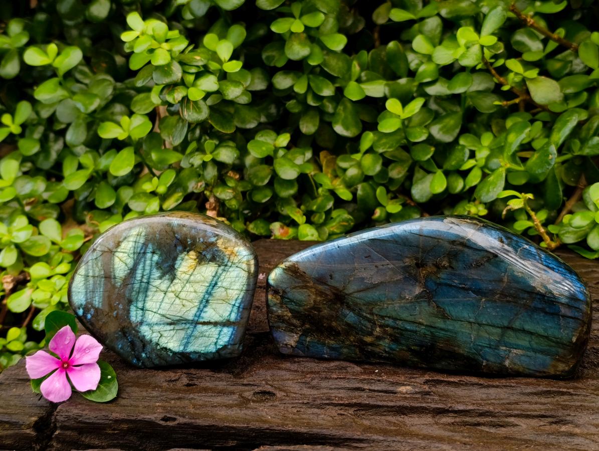 Polished Labradorite Standing Free Forms x 2 From Tulear, Madagascar