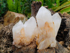 Natural Cascading Candle Quartz Crystals x 6 From Antsirabe, Madagascar