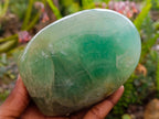 Polished Green Fluorite Standing Free Forms x 2 From Madagascar