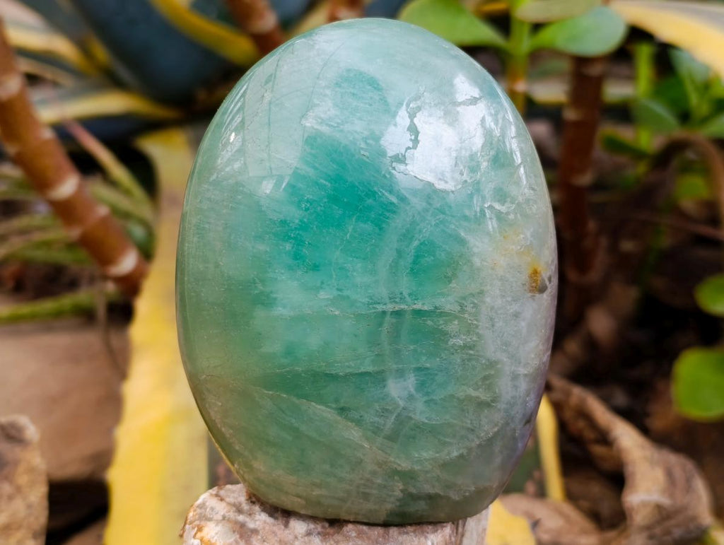 Polished Green Fluorite Standing Free Forms x 2 From Madagascar