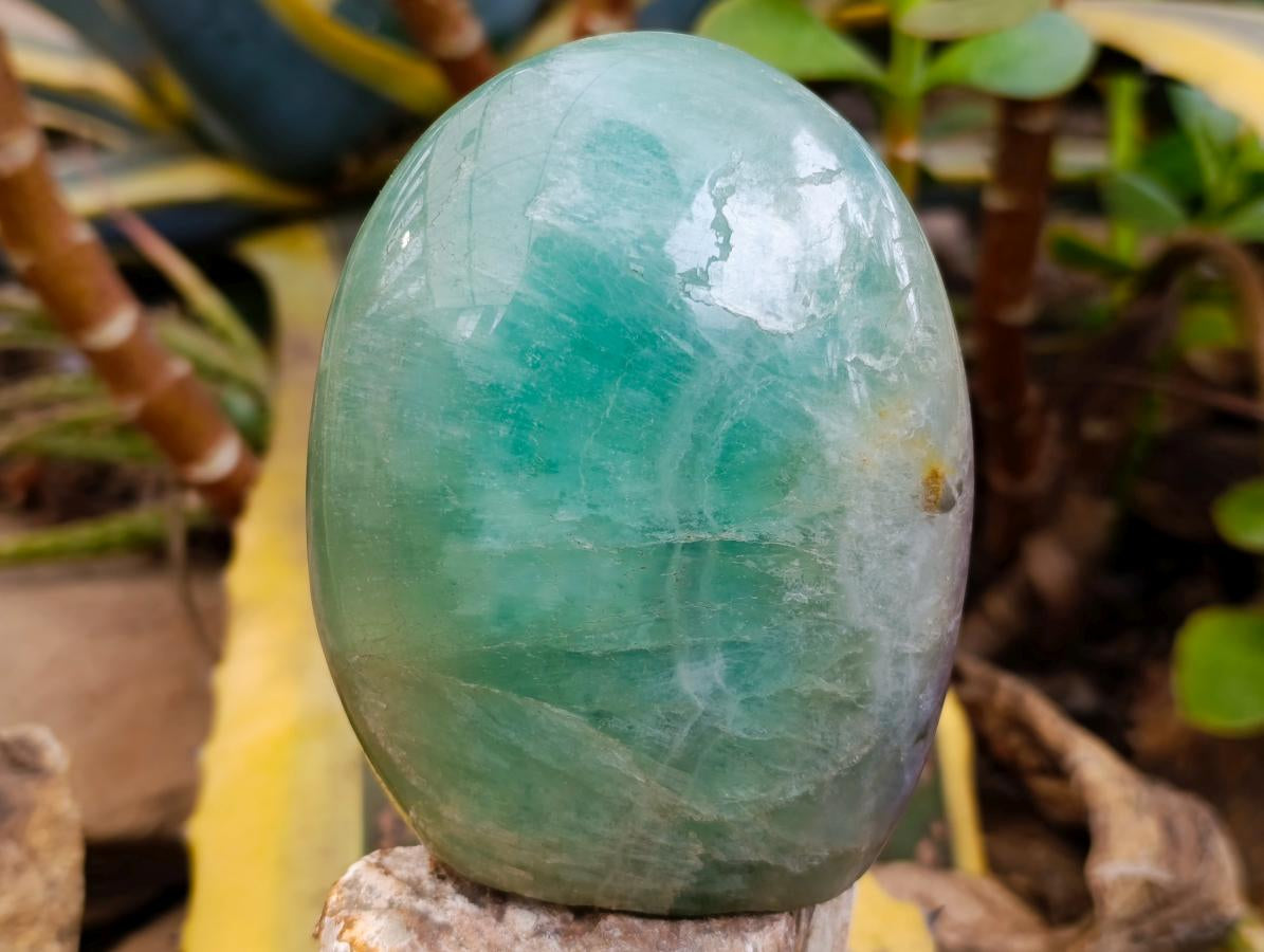Polished Green Fluorite Standing Free Forms x 2 From Madagascar
