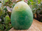 Polished Green Fluorite Standing Free Forms x 2 From Madagascar