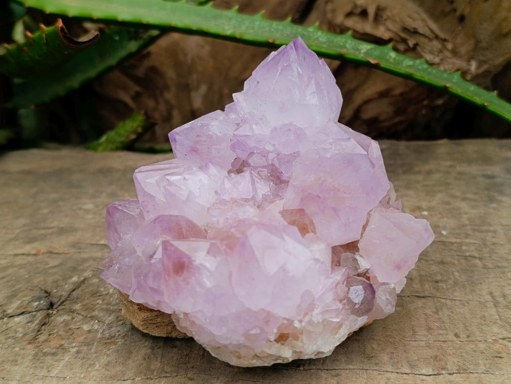 Natural Sunburst Amethyst Spirit Clusters x 2 From Boekenhouthoek, South Africa