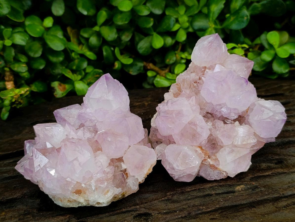 Natural Sunburst Amethyst Spirit Clusters x 2 From Boekenhouthoek, South Africa