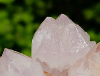 Natural Sunburst Amethyst Spirit Clusters x 2 From Boekenhouthoek, South Africa