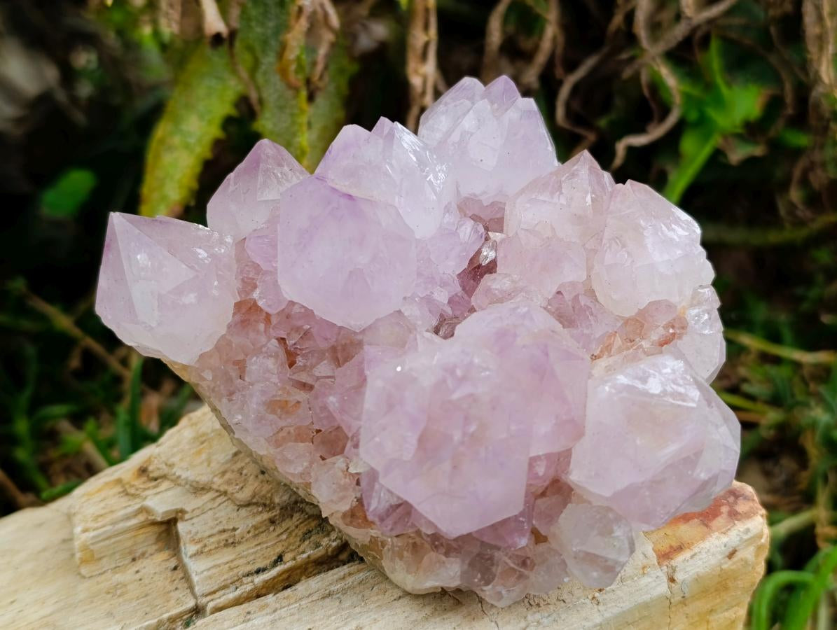 Natural Sunburst Amethyst Spirit Clusters x 2 From Boekenhouthoek, South Africa