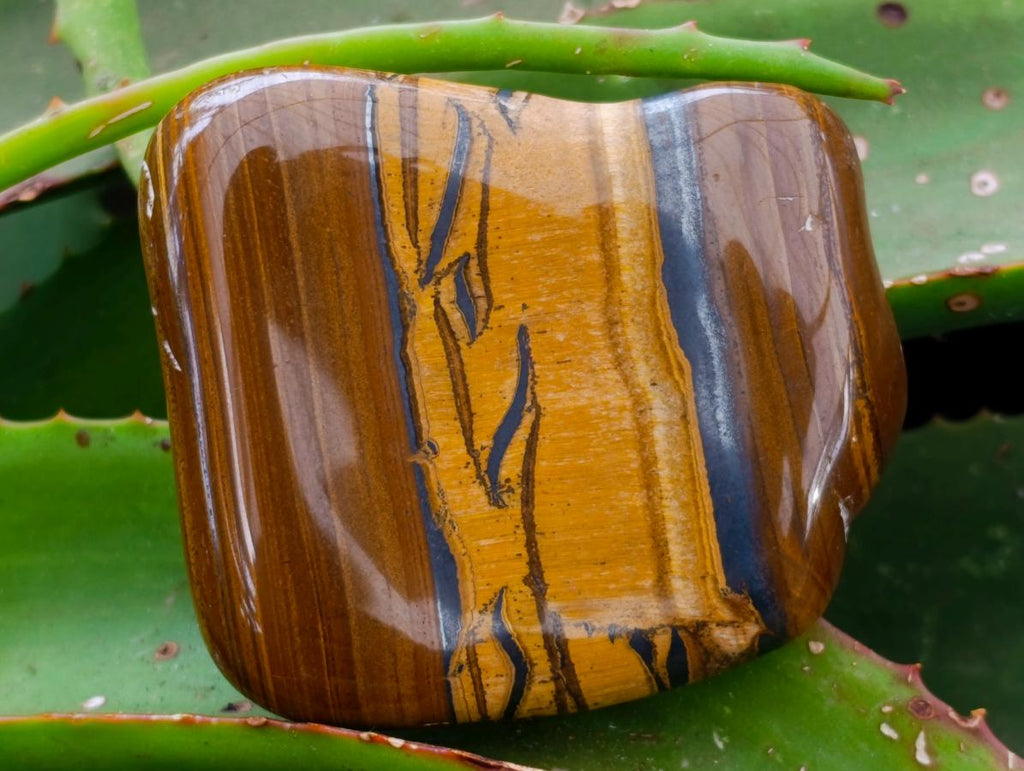 Polished Jumbo Golden Tigers Eye With Banded Iron Stone Free Forms x 4 From Prieska, South Africa