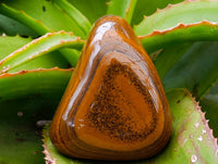 Polished Jumbo Golden Tigers Eye With Banded Iron Stone Free Forms x 4 From Prieska, South Africa