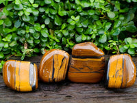 Polished Jumbo Golden Tigers Eye With Banded Iron Stone Free Forms x 4 From Prieska, South Africa