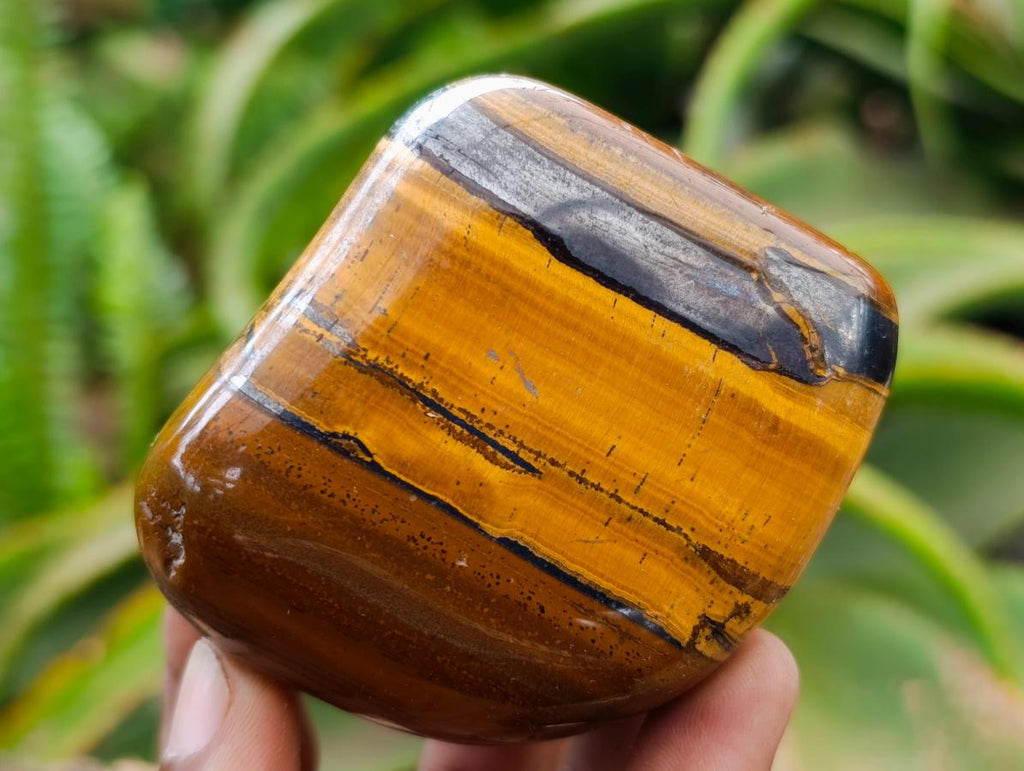 Polished Jumbo Golden Tigers Eye With Banded Iron Stone Free Forms x 4 From Prieska, South Africa
