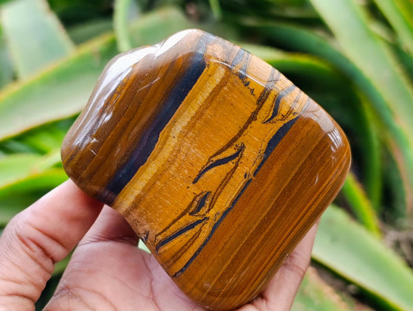 Polished Jumbo Golden Tigers Eye With Banded Iron Stone Free Forms x 4 From Prieska, South Africa