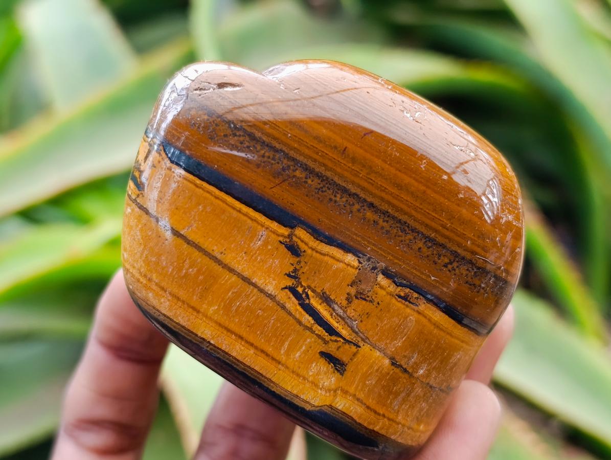 Polished Jumbo Golden Tigers Eye With Banded Iron Stone Free Forms x 4 From Prieska, South Africa
