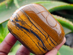 Polished Jumbo Golden Tigers Eye With Banded Iron Stone Free Forms x 4 From Prieska, South Africa