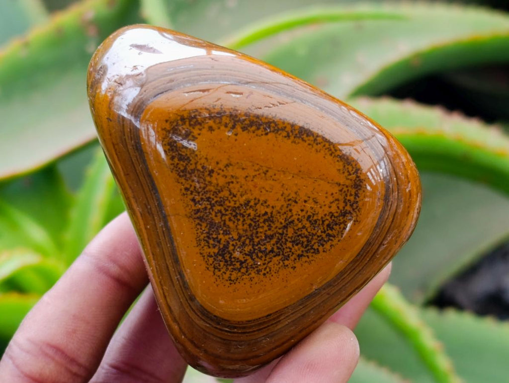 Polished Jumbo Golden Tigers Eye With Banded Iron Stone Free Forms x 4 From Prieska, South Africa