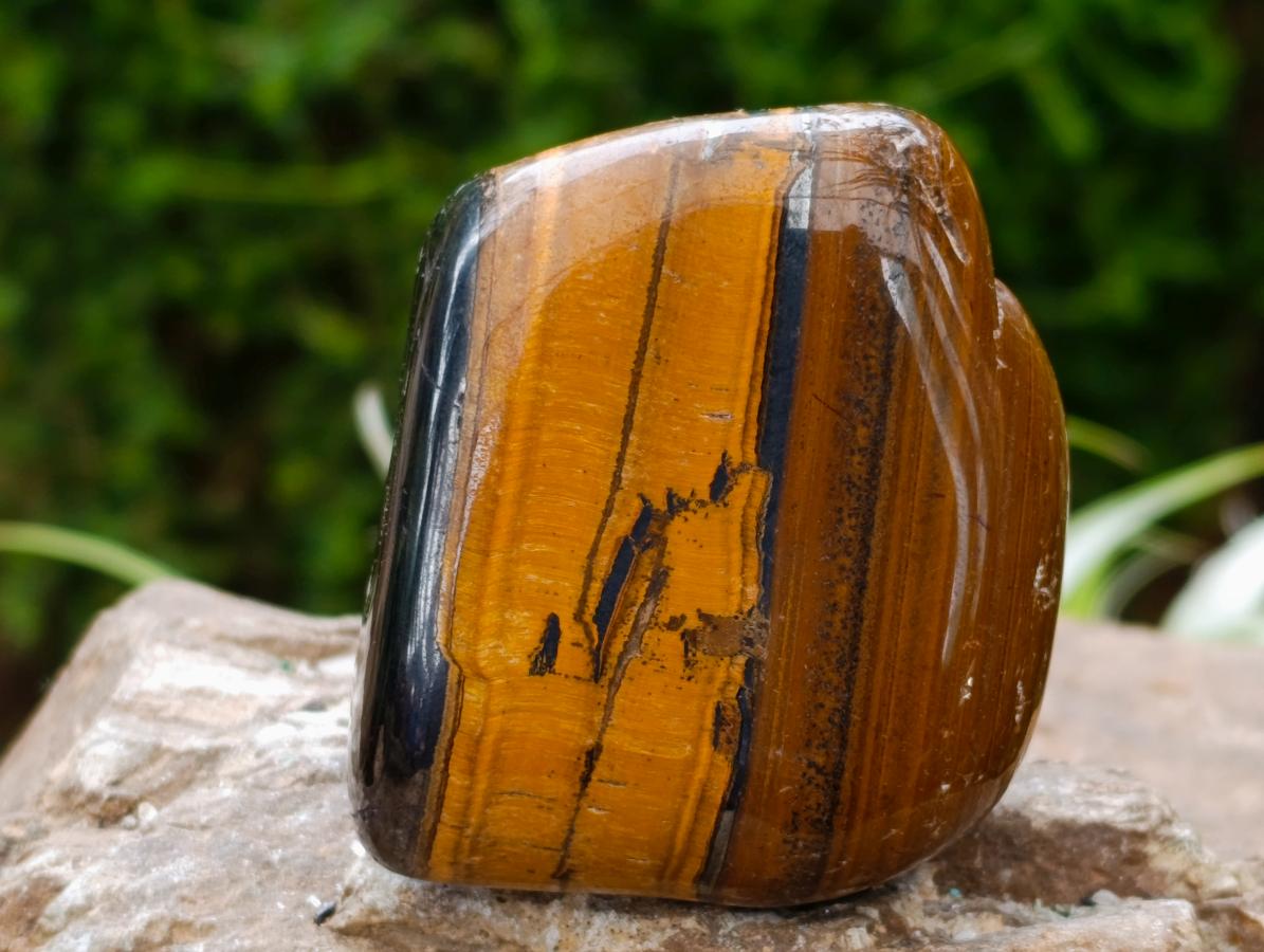 Polished Jumbo Golden Tigers Eye With Banded Iron Stone Free Forms x 4 From Prieska, South Africa