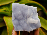 Natural Blue Lace Agate Crystalline Plate Specimens x 6 From Namibia