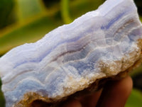 Natural Blue Lace Agate Crystalline Plate Specimens x 6 From Namibia