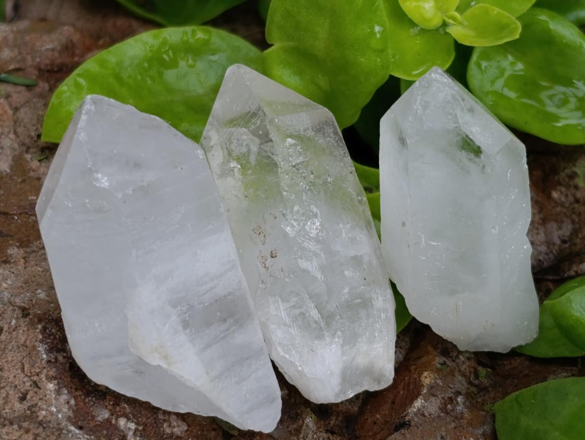 Natural Clear Quartz Crystals x 35 From Madagascar