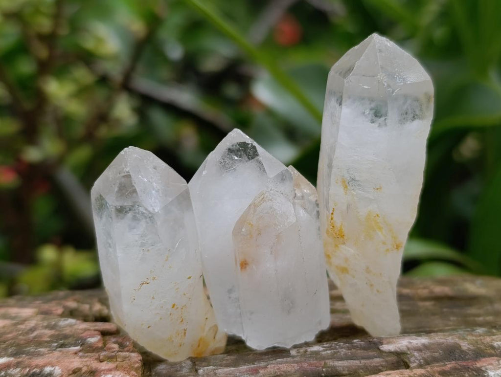 Natural Clear Quartz Crystals x 35 From Madagascar