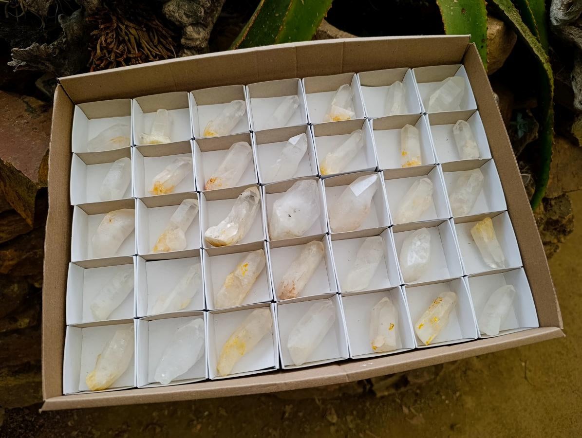 Natural Clear Quartz Crystals x 35 From Madagascar