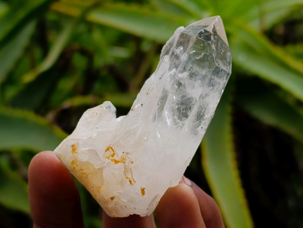 Natural Clear Quartz Crystals x 35 From Madagascar
