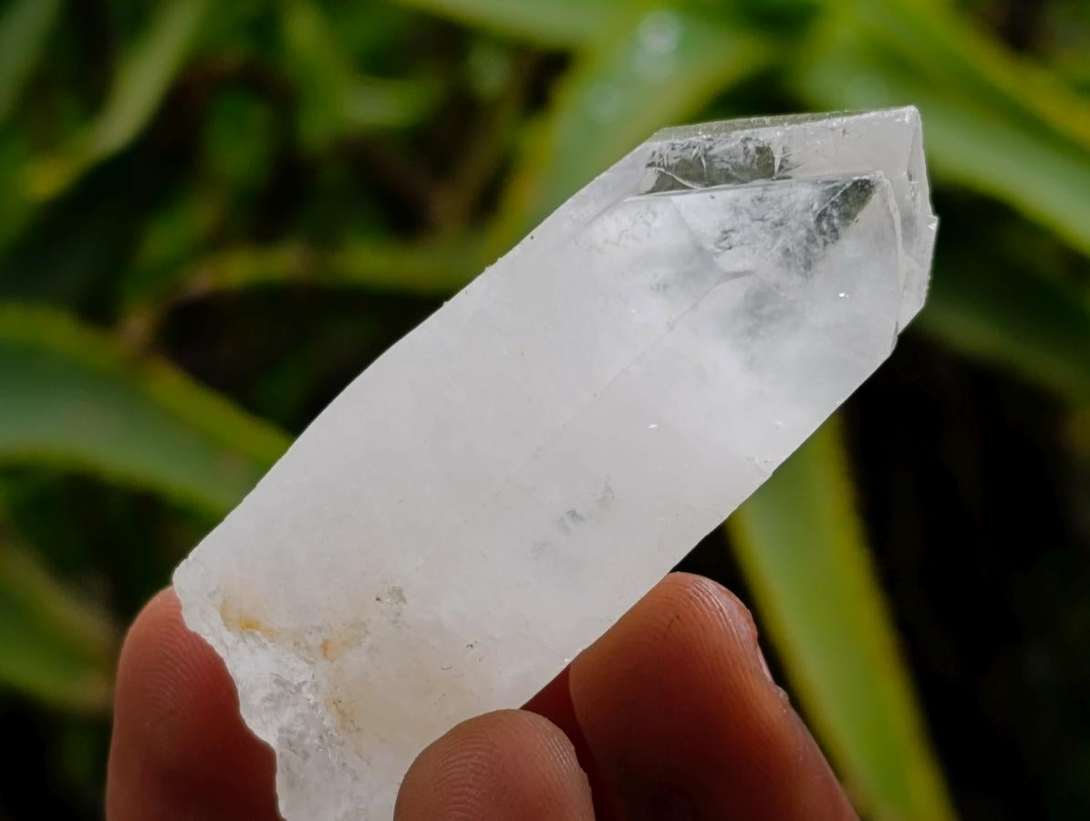 Natural Clear Quartz Crystals x 35 From Madagascar