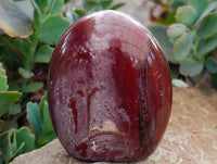 Polished Red Podocarpus Petrified Wood Standing Free Forms x 3 From Mahajanga, Madagascar