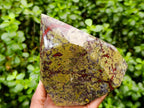 Polished Bastite Dragonsblood Stone Point x 1 From Tshipise, South Africa