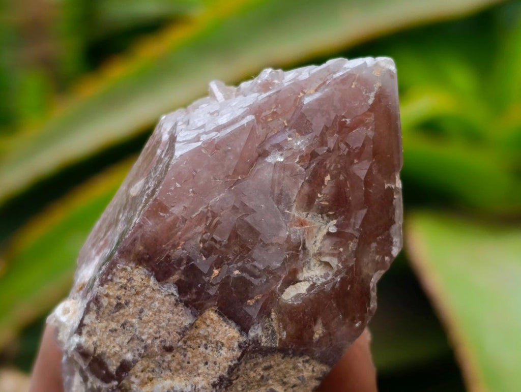 Natural Red Hematoid Quartz Crystals x 24 From Karoi, Zimbabwe